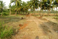 Eco Village At Kanjikode